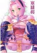 Kan Hi Sakura