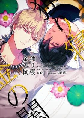 Hitotsu ne Kirameki no shiro | Ozymandias x Gilgamesh | 金闺独梦 | mkk个人汉化